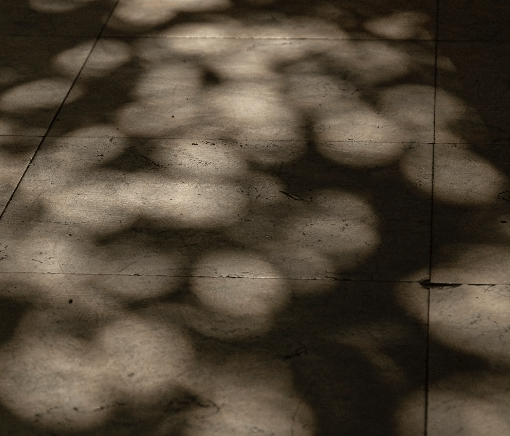 Particules — Jessica LESCS