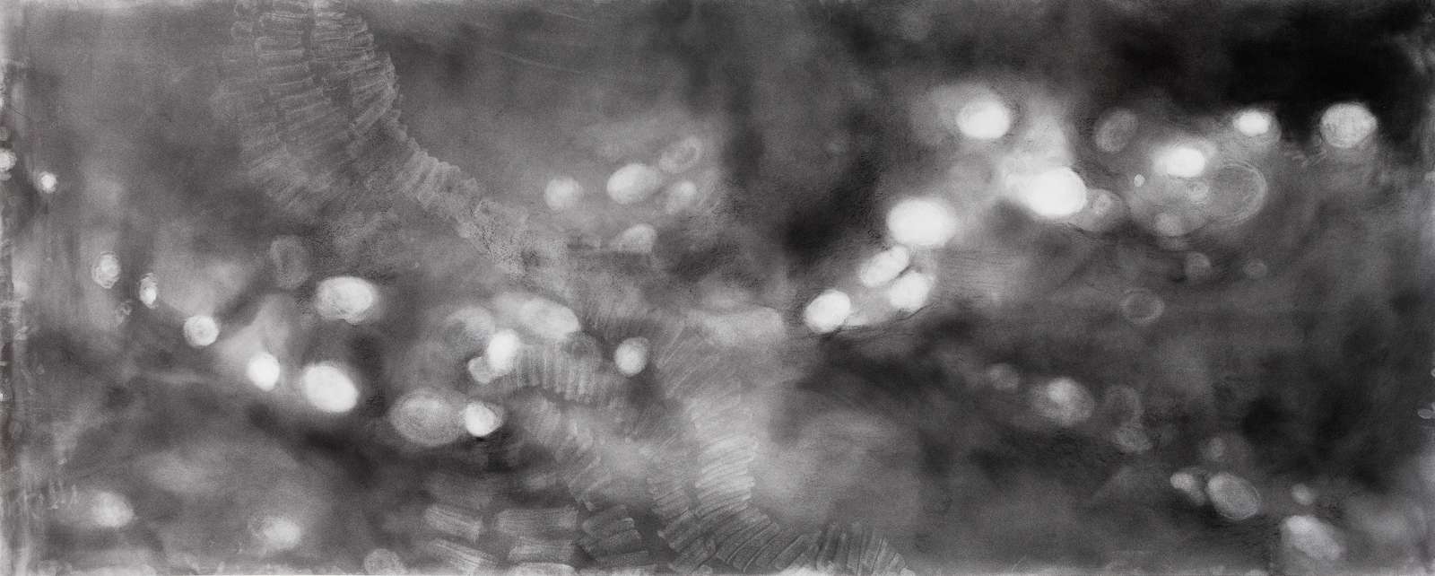 Particules