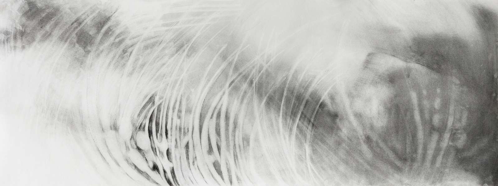 Particules
