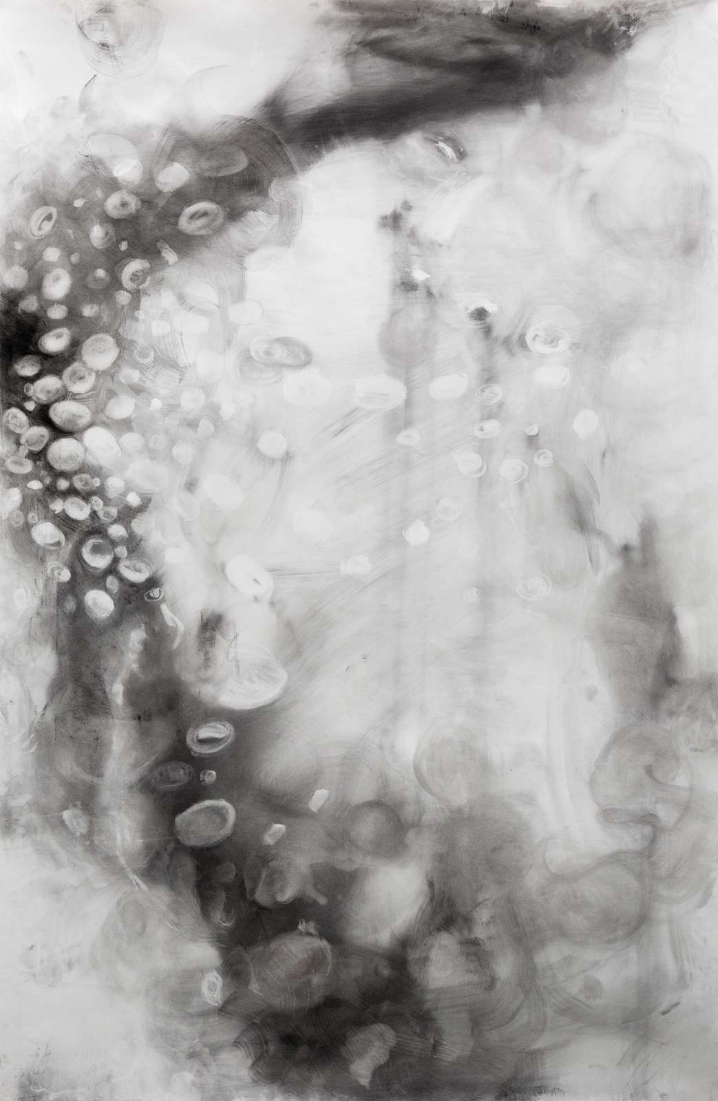 Particules